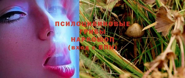 твердый Алзамай