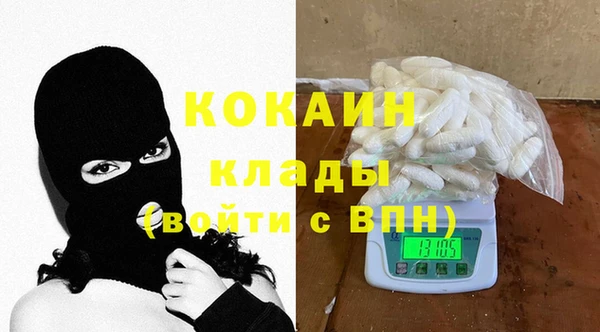 твердый Алзамай