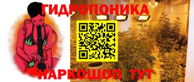 сатива Обнинск