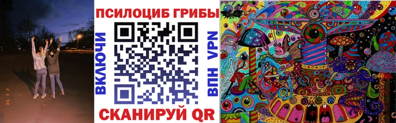 наркота  Топки  Псилоцибиновые грибы Cubensis 