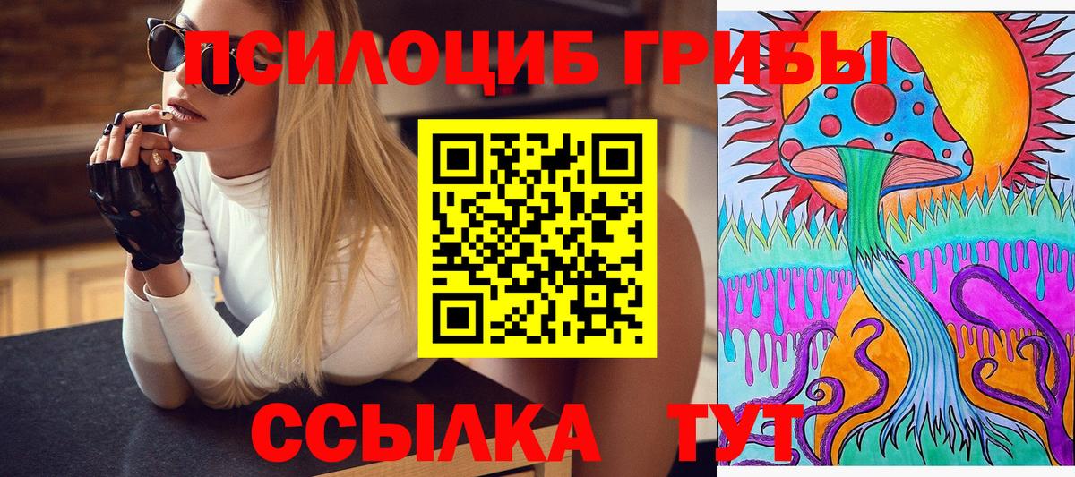Псилоцибиновые грибы GOLDEN TEACHER Топки