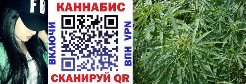как найти   Топки  Канабис OG Kush 
